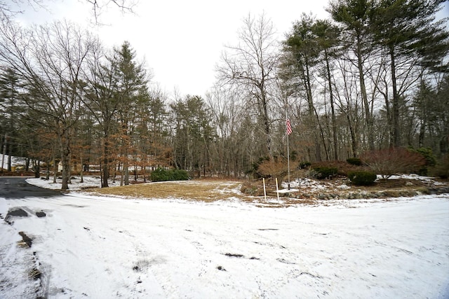 view of snowy yard