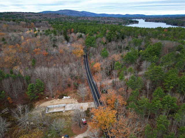 birds eye view of property featuring a water and mountain view