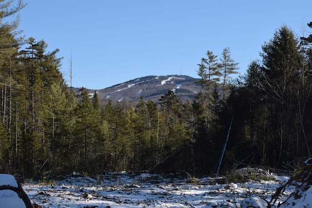 LOT2 Nutting Rd, Sunapee NH, 03782 land for sale