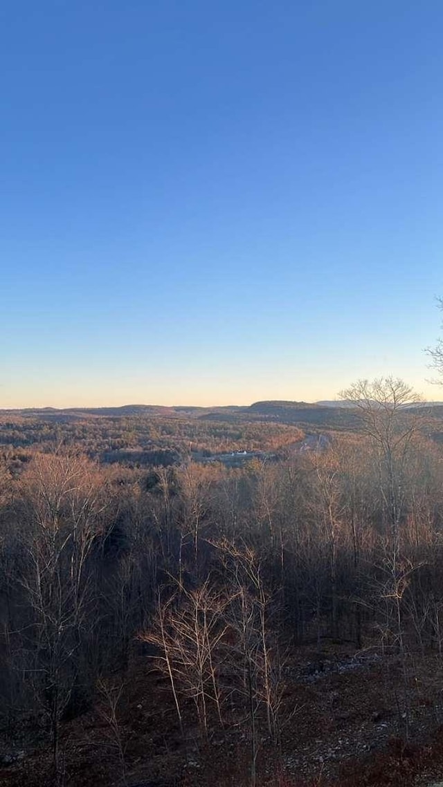 view of nature at dusk