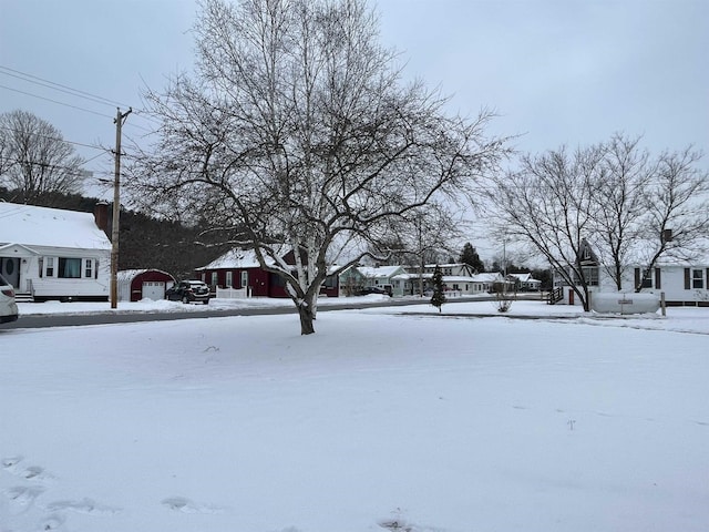 view of snowy yard