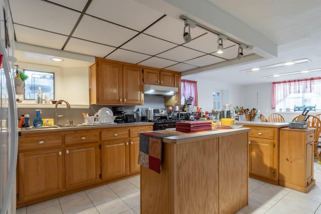 kitchen with stainless steel range, a center island, and a wealth of natural light