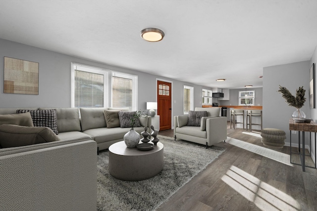 living room featuring hardwood / wood-style flooring