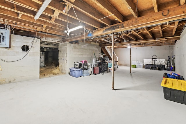 basement featuring electric panel