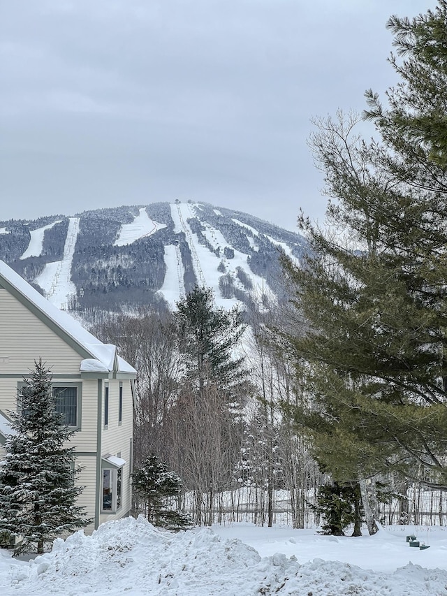 view of mountain feature