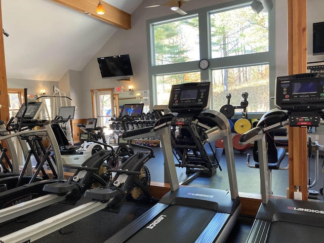 exercise room featuring high vaulted ceiling and plenty of natural light