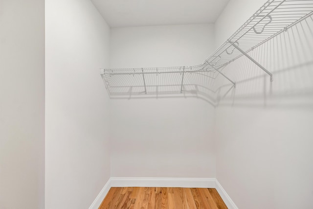 walk in closet featuring wood-type flooring