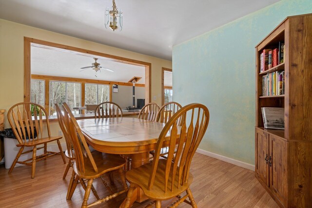 dining room with ceiling fan and light wood-type flooring