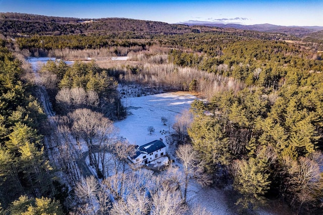 drone / aerial view featuring a mountain view