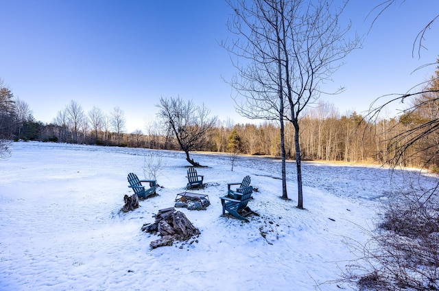 view of yard layered in snow