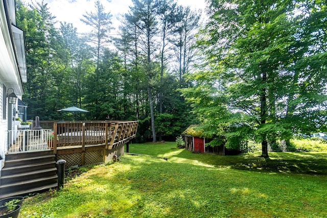 view of yard with a deck and a shed