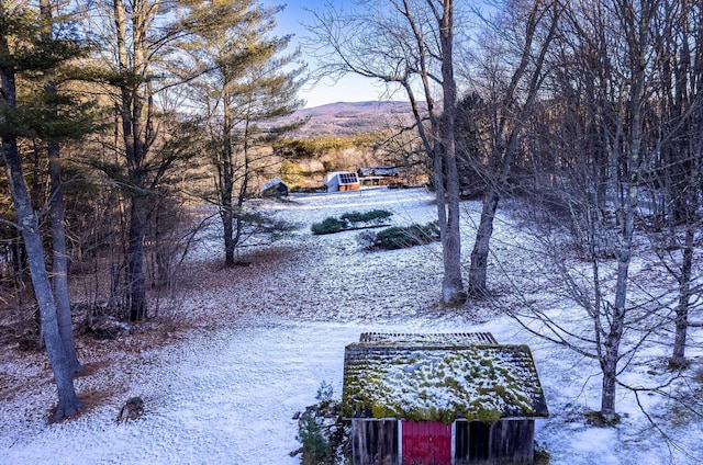 yard layered in snow with a mountain view