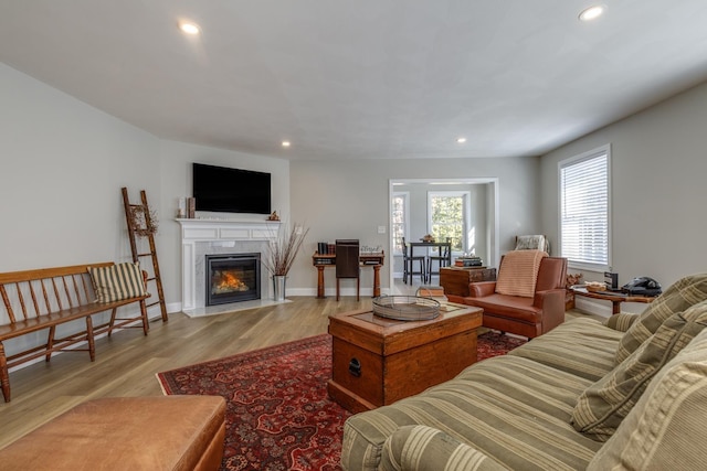 living room with a premium fireplace and light hardwood / wood-style flooring