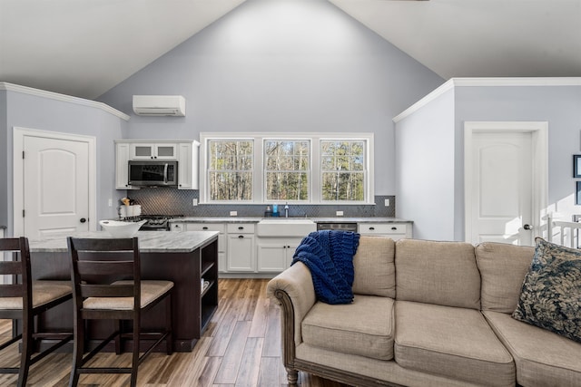 living room with sink, hardwood / wood-style floors, high vaulted ceiling, and a wall unit AC