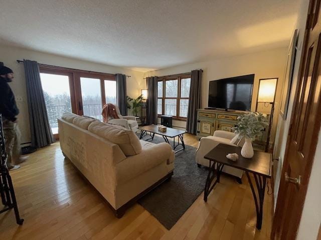 living room with light hardwood / wood-style flooring