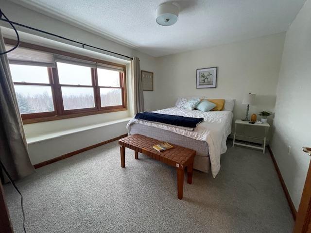 bedroom with carpet flooring