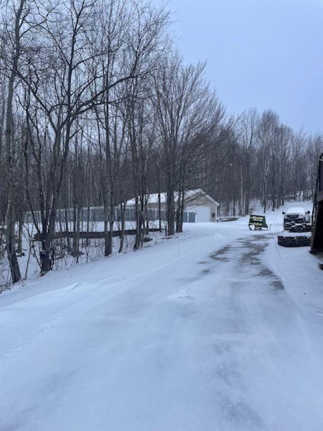 view of yard covered in snow