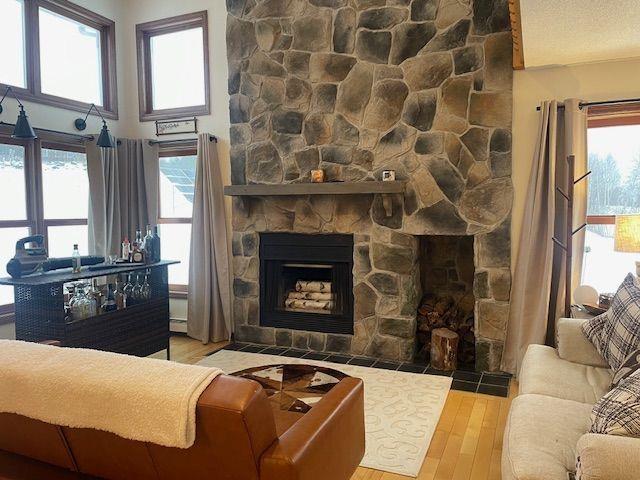 living room with a baseboard radiator, a fireplace, and wood-type flooring