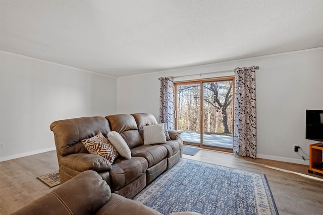 living room with wood-type flooring