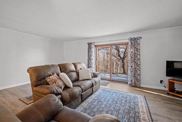 living room with hardwood / wood-style flooring