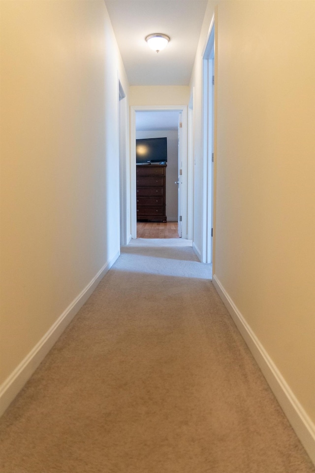 hall featuring light colored carpet