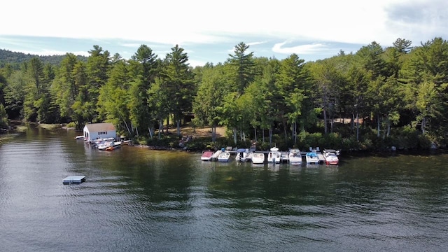 water view with a dock