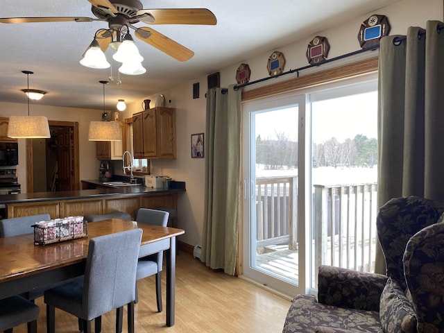 dining space with sink, ceiling fan, and light hardwood / wood-style flooring