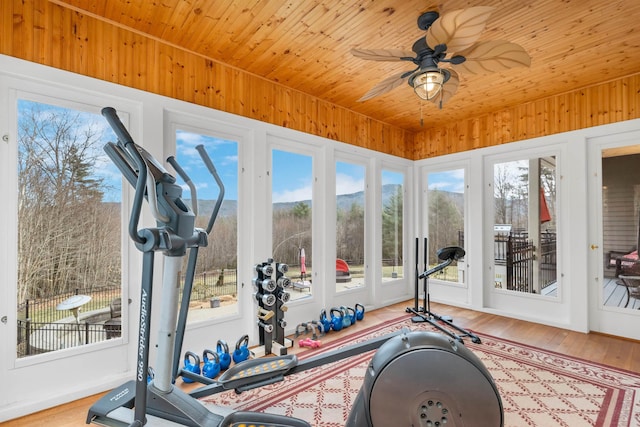 workout room with ceiling fan, plenty of natural light, wood ceiling, and hardwood / wood-style flooring