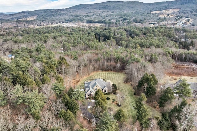 drone / aerial view with a mountain view