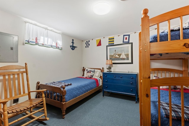 bedroom featuring carpet floors and electric panel