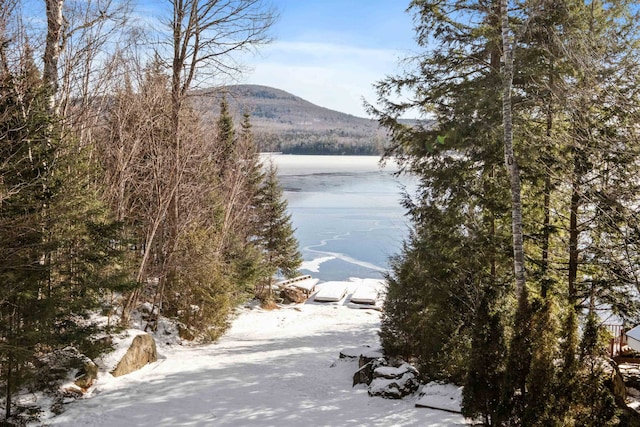 property view of water with a mountain view