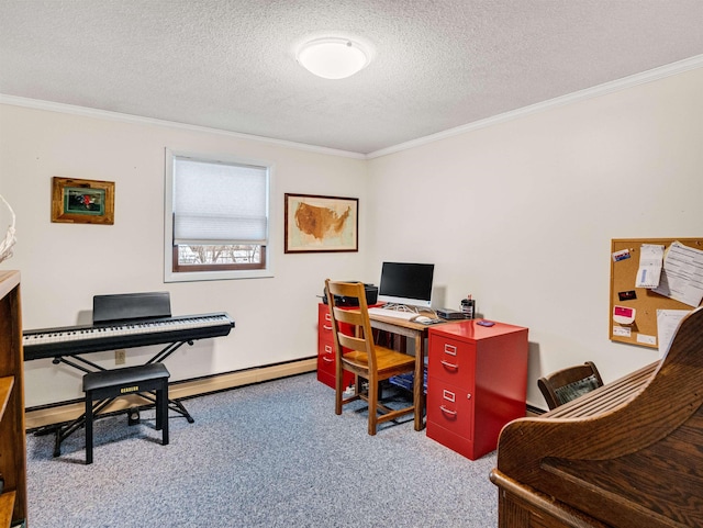 office space featuring a textured ceiling, carpet, and crown molding