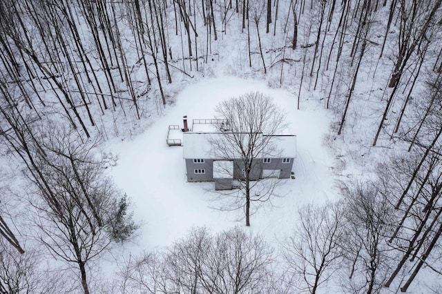 view of snowy aerial view