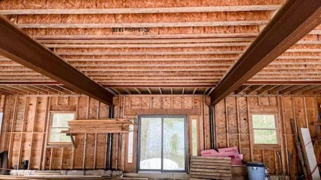 attic with a healthy amount of sunlight