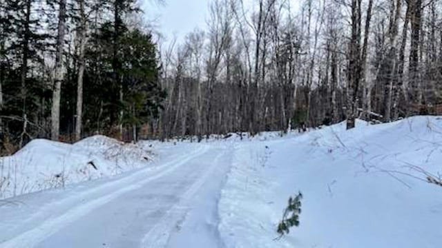 view of snow covered land