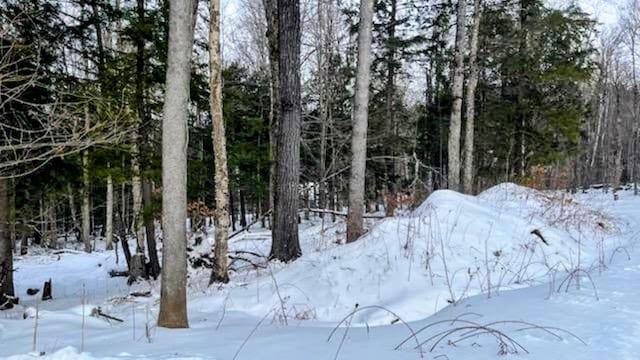 view of snowy landscape