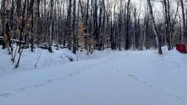 view of snowy landscape