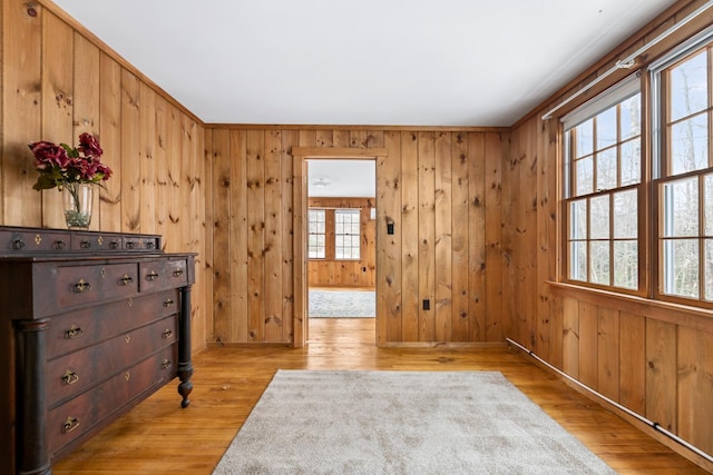 interior space featuring light hardwood / wood-style flooring and wood walls