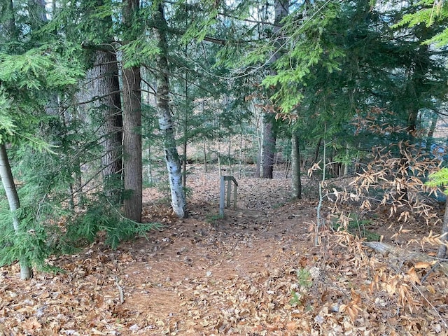 view of local wilderness