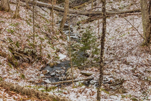 view of snowy view