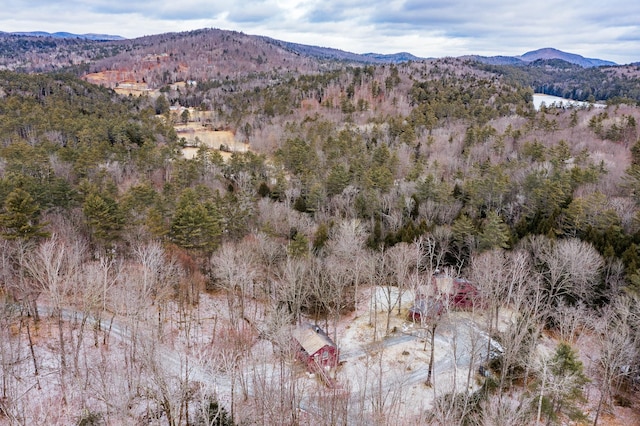 view of mountain feature