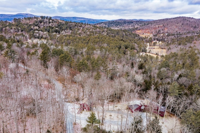 birds eye view of property featuring a mountain view