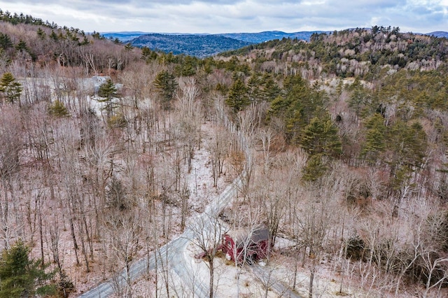 drone / aerial view featuring a mountain view