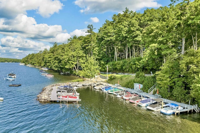 dock area featuring a water view