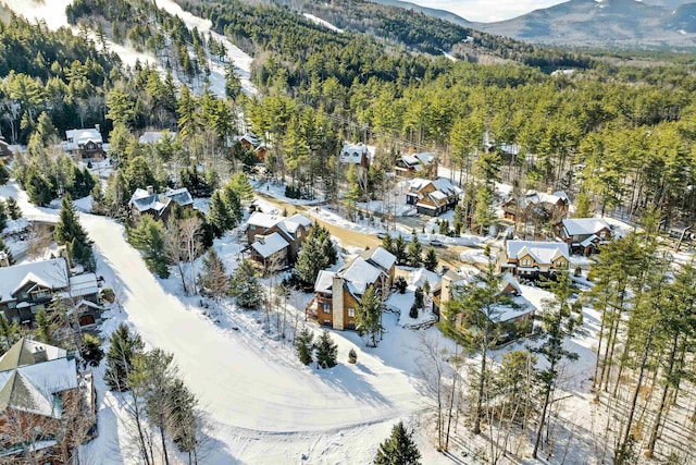 aerial view with a mountain view