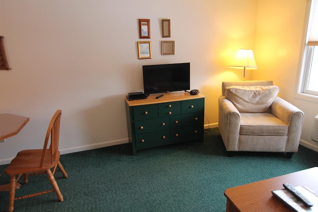 sitting room with carpet