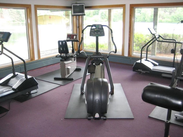 workout room featuring a healthy amount of sunlight and carpet flooring