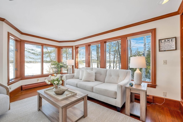 living room featuring a baseboard heating unit, light hardwood / wood-style flooring, and ornamental molding