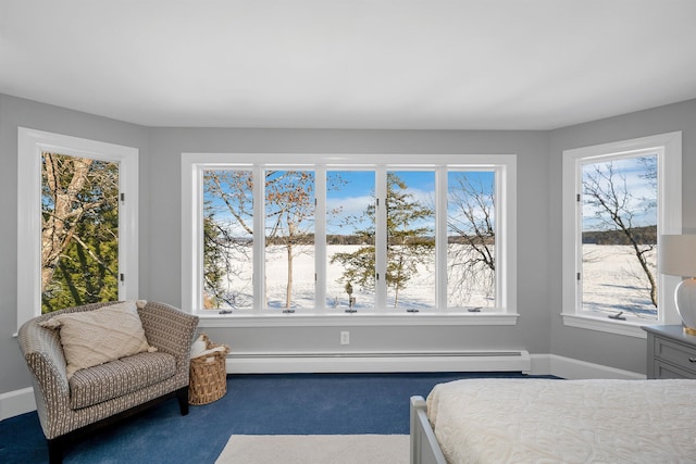 bedroom featuring baseboard heating, carpet floors, and multiple windows