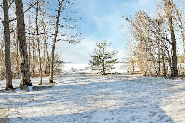 view of yard covered in snow